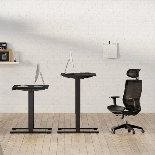 ErgoFlex™ – Electric Standing Desk 55" x 28" with Dual Motor & Memory